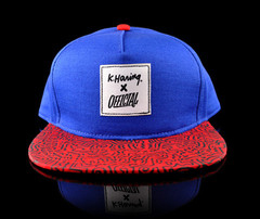 Kieth_h_bluesnap_front_medi Kieth_h_bluesnap_front_medi