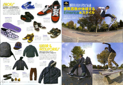 Emerica_pb